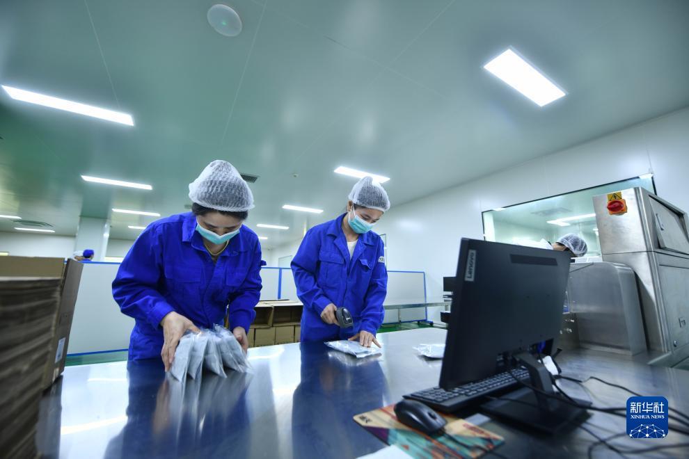 波克捕鱼那个版本可以送东西